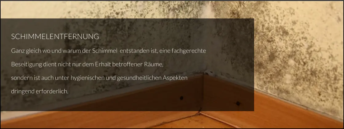 SCHIMMELENTFERNUNG Ganz gleich wo und warum der Schimmel  entstanden ist, eine fachgerechte  Beseitigung dient nicht nur dem Erhalt betroffener Räume,  sondern ist auch unter hygienischen und gesundheitlichen Aspekten  dringend erforderlich.